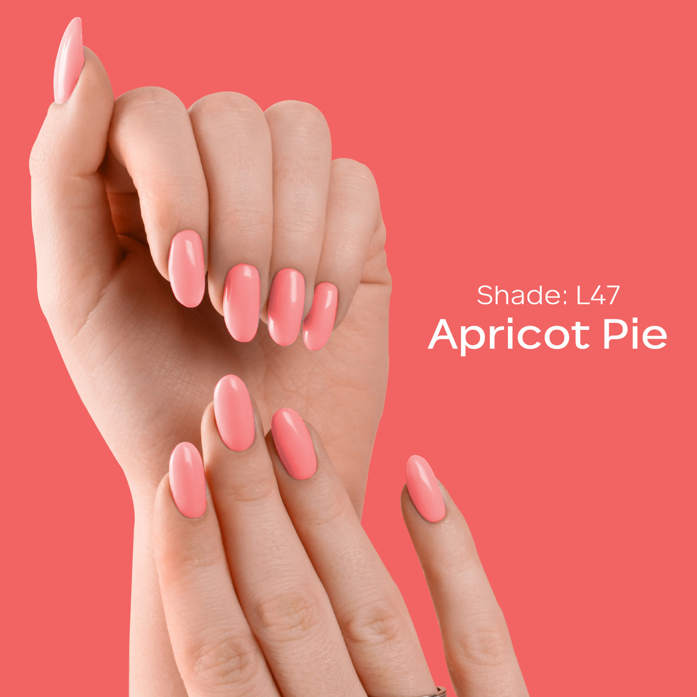 #color_apricot-pie-l47